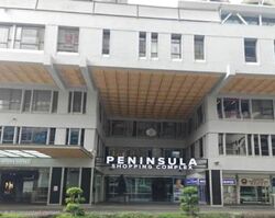 Peninsula Shopping Complex (D6), Shop House #639393971